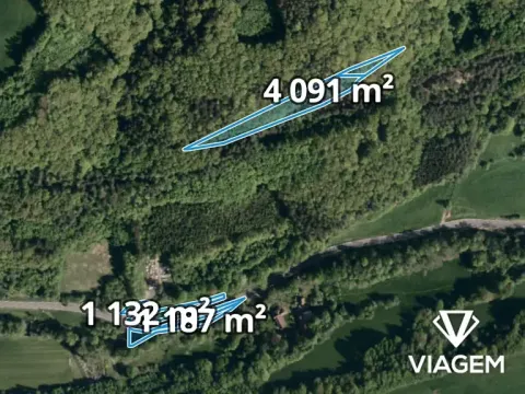Prodej lesa, Bratřejov, 4108 m2