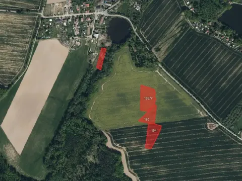 Prodej pole, Svojšice, 4801 m2