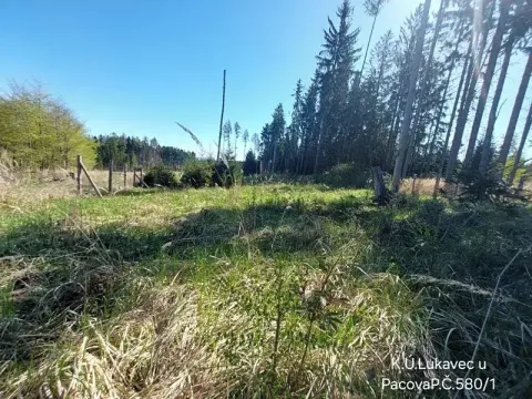 Prodej lesa, Lukavec, 3571 m2
