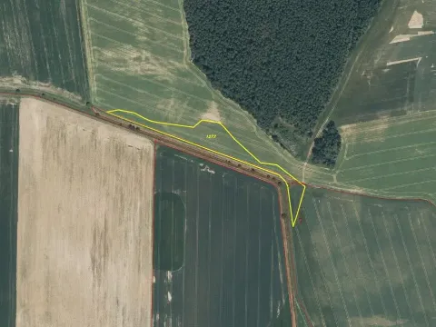 Prodej pole, Poběžovice - Zámělíč, 10487 m2