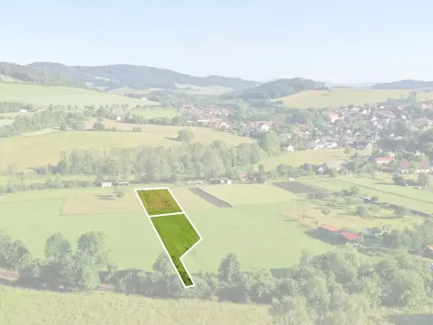 Prodej pozemku pro bydlení, Běšiny, 4921 m2
