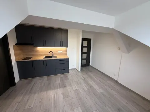 Prodej bytu 2+kk, Plzeň, Rokycanská, 36 m2