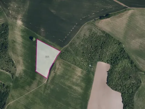 Prodej pole, Pouzdřany, 13380 m2