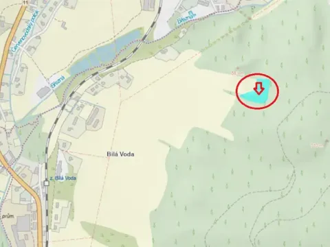 Prodej podílu lesa, Červená Voda, 5759 m2