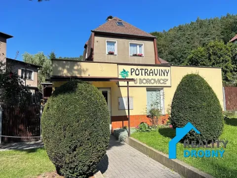Prodej rodinného domu, Děčín, Na Pěšině, 205 m2