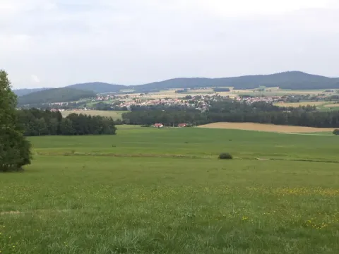 Prodej pozemku, Holubov, 5987 m2