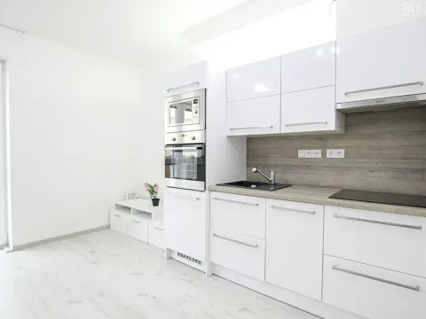 Pronájem bytu 1+kk, Brno, Lišejníková, 35 m2