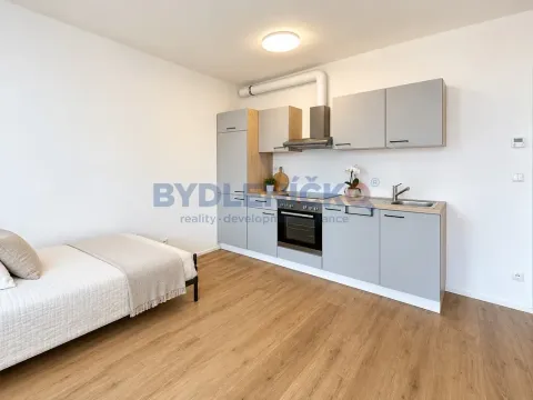 Prodej bytu 1+kk, České Budějovice, Nová, 38 m2