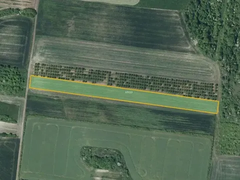 Prodej sadu/vinice, Želkovice, 8289 m2