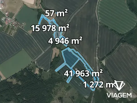 Prodej podílu pole, Golčův Jeníkov, 2951 m2