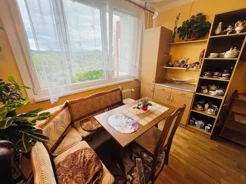 Pronájem bytu 2+1, Lovosice, Vodní, 64 m2