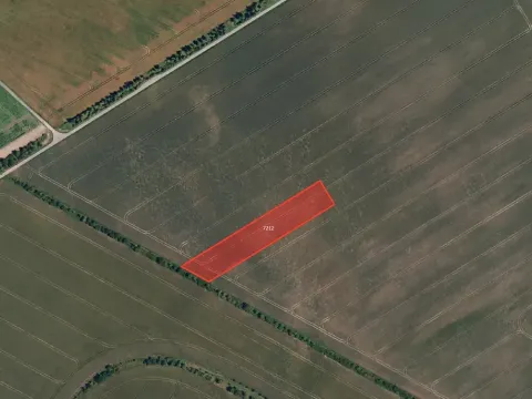 Prodej pole, Ořechov, 12121 m2