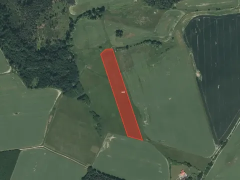 Prodej louky, Lhůta, 15801 m2