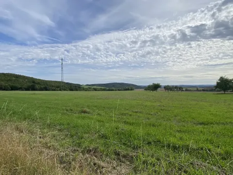 Prodej pozemku, Nová Ves pod Pleší, Ke Kapli, 1605 m2