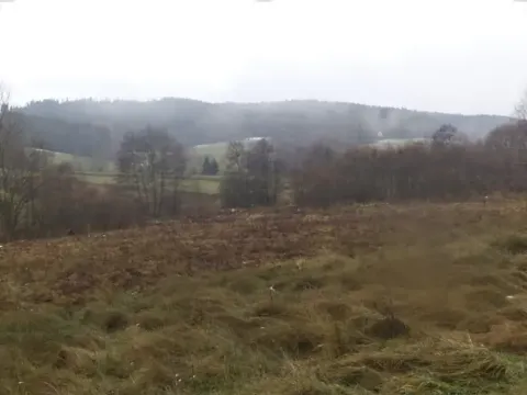 Dražba louky, Vyšší Brod, 919 m2