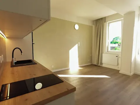 Prodej bytu 1+kk, Znojmo, Cihlářská, 27 m2