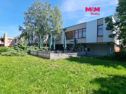 Pronájem kanceláře, Orlová - Lutyně, F. S. Tůmy, 52 m2