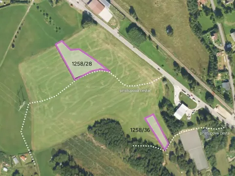 Prodej komerčního pozemku, Borová, 4941 m2