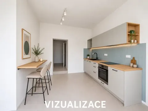 Pronájem bytu 1+kk, Brno, Cejl, 30 m2