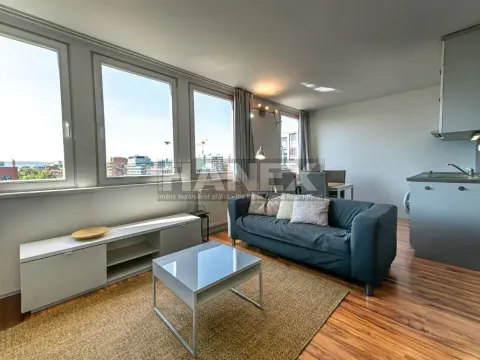 Pronájem bytu 1+kk, Praha - Karlín, Molákova, 36 m2