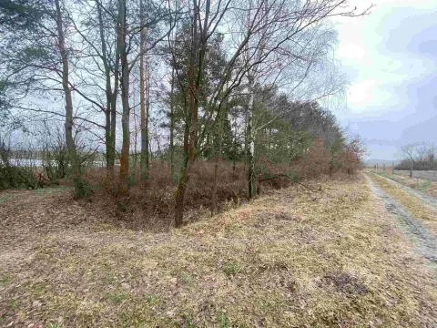 Prodej pozemku, Drahonice - Albrechtice, 2121 m2