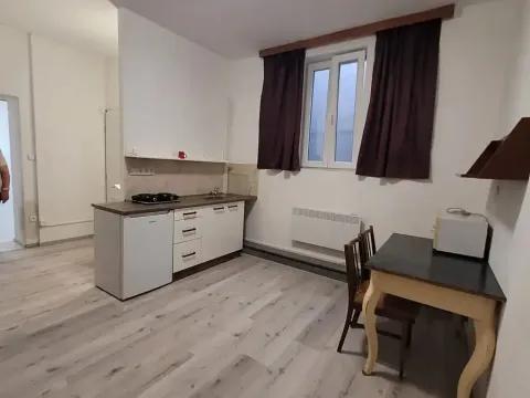 Pronájem bytu 1+1, Brno, Palackého třída, 43 m2