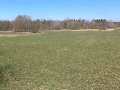 Dražba pole, Stříbřec, 5200 m2