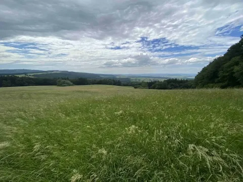 Dražba louky, Korytná, 7545 m2
