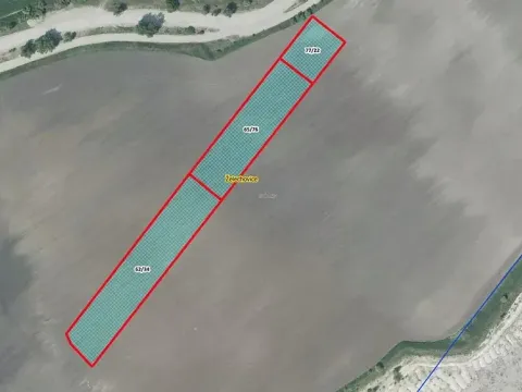 Prodej pole, Čížkovice, 7982 m2