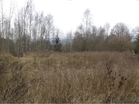 Prodej pozemku, Horní Planá, 1390 m2