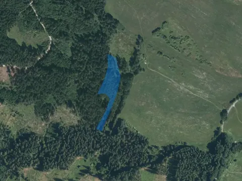 Dražba lesa, Dlouhý Újezd, 7291 m2