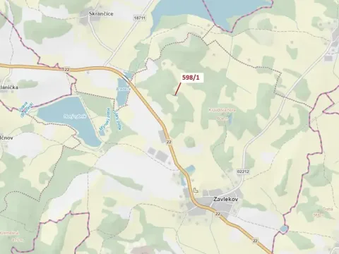 Dražba louky, Zavlekov, 272 m2