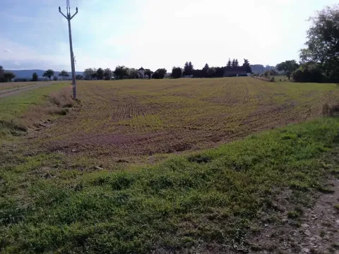Dražba pozemku pro bydlení, Vrbice, 9030 m2