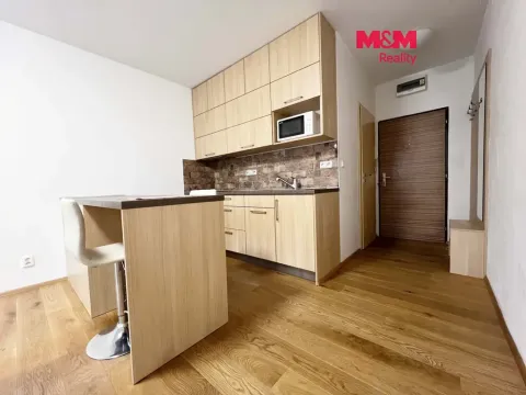 Pronájem bytu 1+kk, Strakonice - Přední Ptákovice, Šumavská, 28 m2