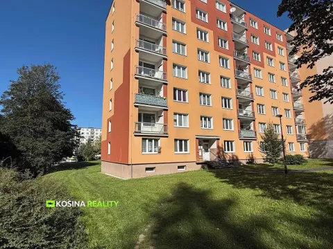 Pronájem bytu 2+1, Sokolov, Švabinského, 63 m2