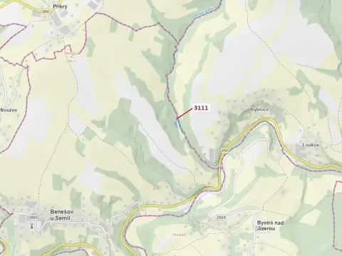 Dražba lesa, Benešov u Semil, 2958 m2