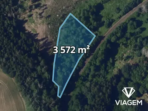 Prodej podílu lesa, Břevnice, 1786 m2