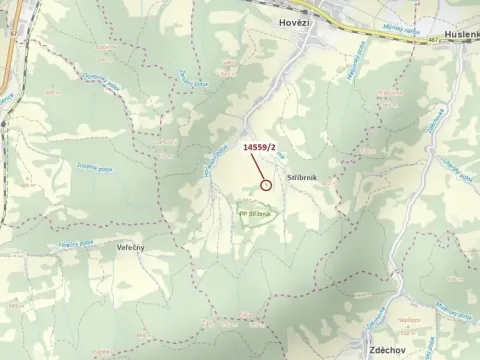 Dražba lesa, Hovězí, 605 m2