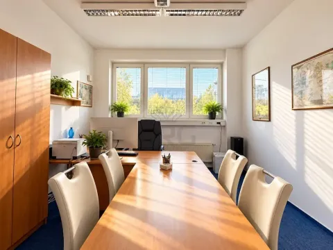 Pronájem kanceláře, Brno - Dolní Heršpice, Vídeňská, 26 m2