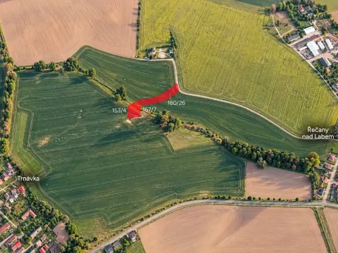 Prodej pole, Řečany nad Labem, 3313 m2