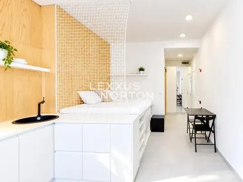 Pronájem bytu 1+kk, Praha - Vinohrady, Slezská, 24 m2