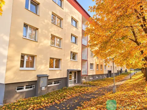 Pronájem bytu 2+kk, Osek, Dolejšova, 43 m2