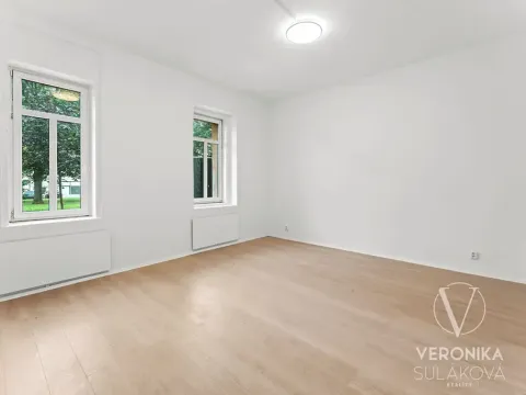 Prodej bytu 1+1, Ústí nad Labem, Žukovova, 45 m2