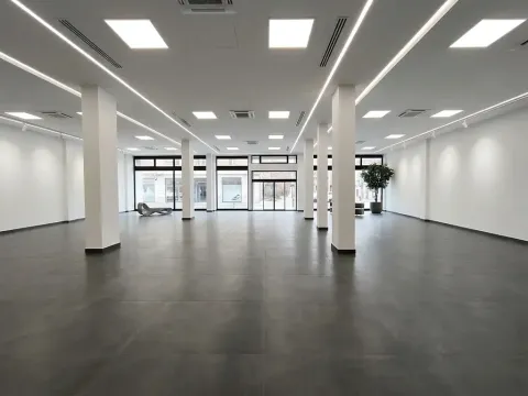 Pronájem obchodního prostoru, Ústí nad Labem, Masarykova, 423 m2