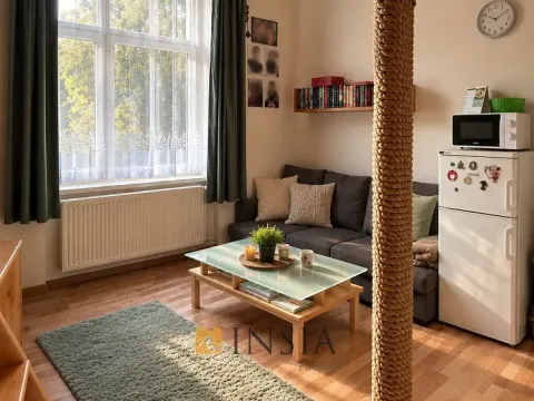 Prodej bytu 1+kk, Plzeň - Východní Předměstí, Koterovská, 25 m2