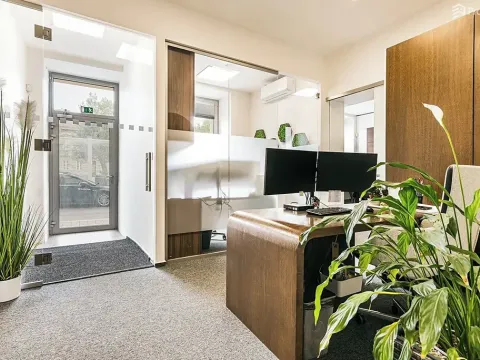 Pronájem kanceláře, Brno, Plotní, 93 m2