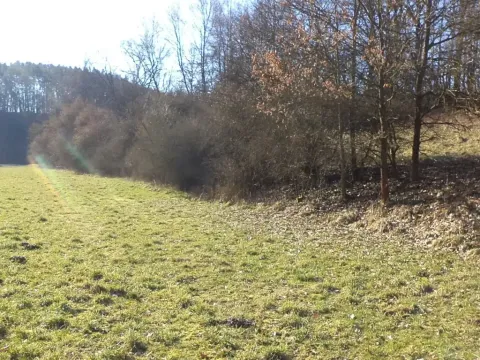 Dražba pole, Snědovice, 5161 m2