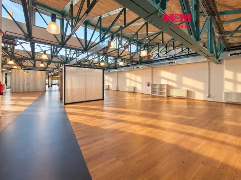 Pronájem kanceláře, Praha - Libeň, Drahobejlova, 706 m2