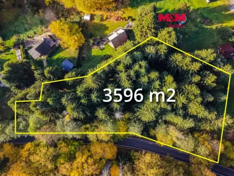Prodej pozemku pro bydlení, Zábřeh - Dolní Bušínov, 3596 m2